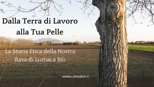 Dalla Terra di Lavoro alla Tua Pelle: La Storia Etica della Nostra Bava di Lumaca Bio