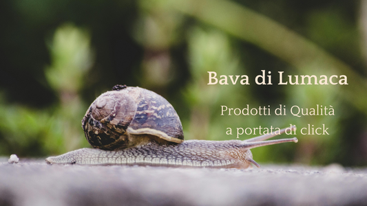 Scopri l'Eccellenza della Bava di Lumaca con il Nostro E-commerce: Prodotti di Qualità a Portata di Click