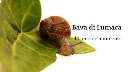 Bava di Lumaca Bio: Il Trend del Momento nella Cura della Pelle