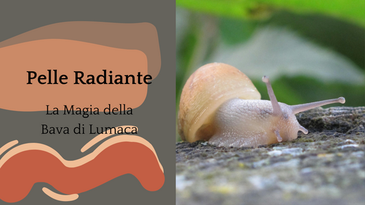 Consigli per una Pelle Radiante: La Magia della Bava di Lumaca