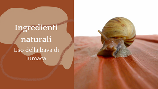 Cura della Pelle con Ingredienti Naturali: La Bava di Lumaca in Primo Piano