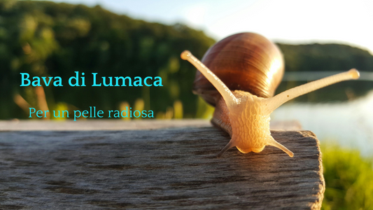 Scopri i Segreti della Bava di Lumaca: Guida all'Acquisto Perfetto per una Pelle Radiante